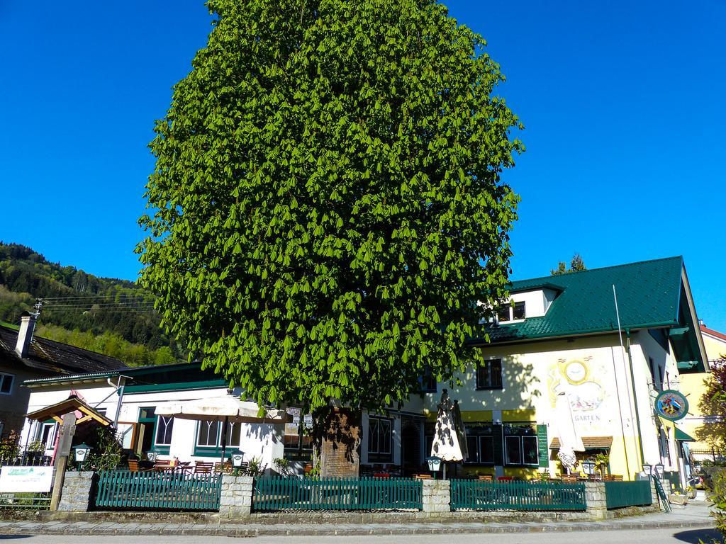 Zum Schiffmeister Wesenufer Exterior photo